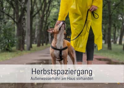 wohnwerth.de Traumferienwohnung Ostsee Ferienloft Sternenblick Aussenwasserhahn