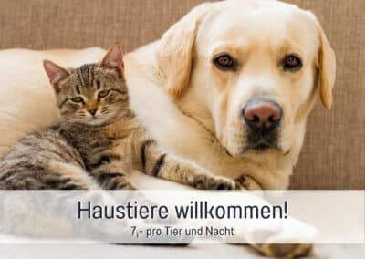 wohnwerth.de Traumferienwohnung Ostsee Ferienloft Sternenblick Haustiere