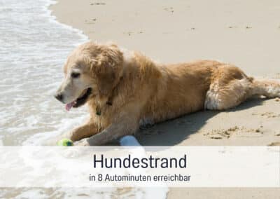 wohnwerth.de Traumferienwohnung Ostsee Ferienloft Sternenblick Hundestrand