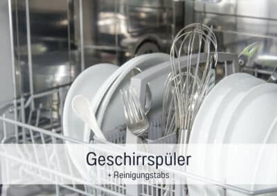wohnwerth.de Traumferienwohnung Ostsee Ferienwohnung Lichtinsel Geschirrspüler